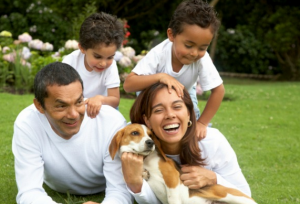 How to Make Owning a Family Pet More Affordable