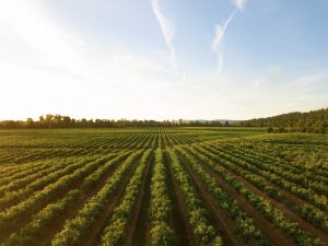 4 Things to Invest in When Buying Farm Property